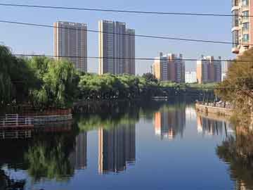 爱上海：You can also see many birds freely moving around.