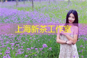 上海娱乐网：不同的人生：在上海的职场活动