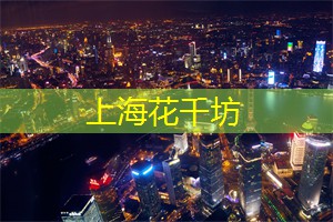 上海品茶网：上海的文创产品展示与销售